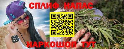 гашик Донской