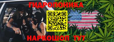 гашик Донской